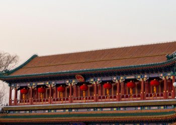 CLAWS China Newsletter 01 – 15 March 2025