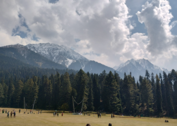 Strategic Stances on Pahalgam