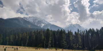 Strategic Stances on Pahalgam