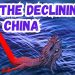 The Declining China / Lt Gen PR Shankar, PVSM, AVSM, VSM (Retd)
