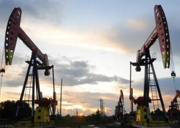 Opinion | So, Does Pakistan Really Have Those Oil ‘Riches’?