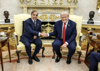 Lobbying as a New Instrument of Power in the Subcontinent