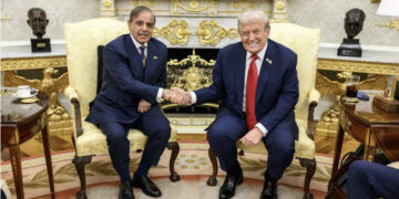 Lobbying as a New Instrument of Power in the Subcontinent