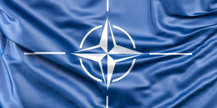 NATO’s Survival: Defence and Security Question for Europe