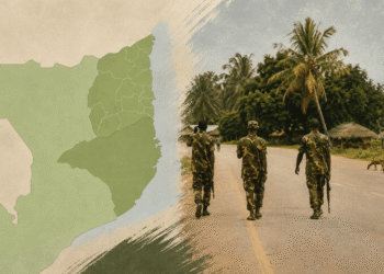 Counter Insurgency in Mozambique – A Critical Evaluation